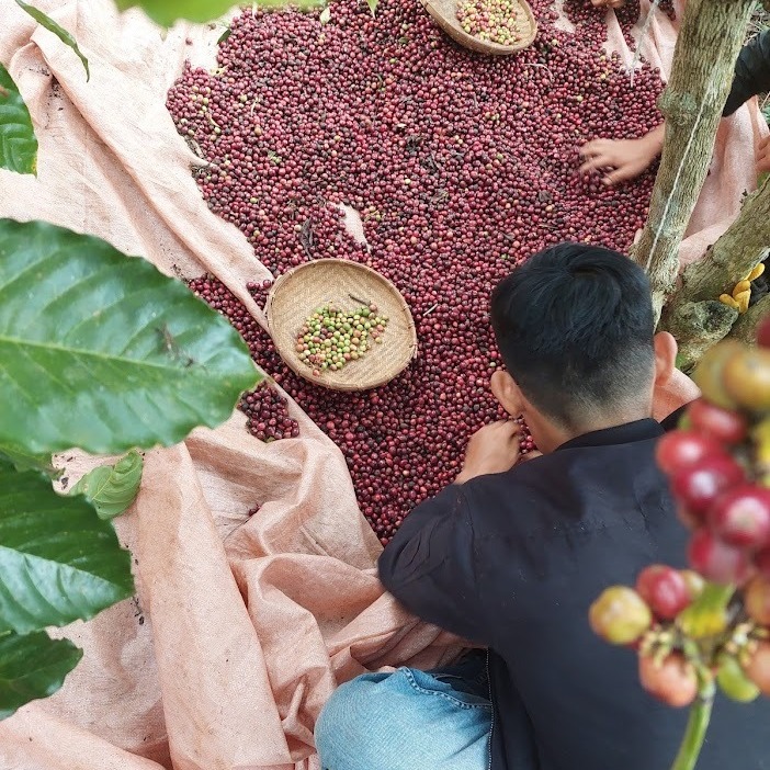 546512373-814165824454678-6507804655774904650-n