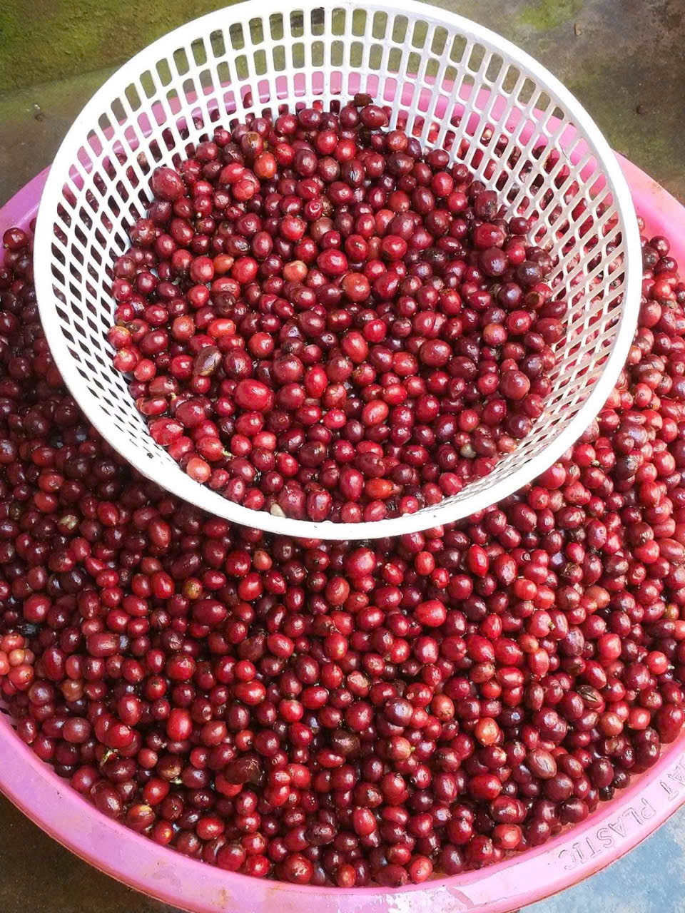 z7121980180207-2cad2fe59337c1c82a442fcc35822ace