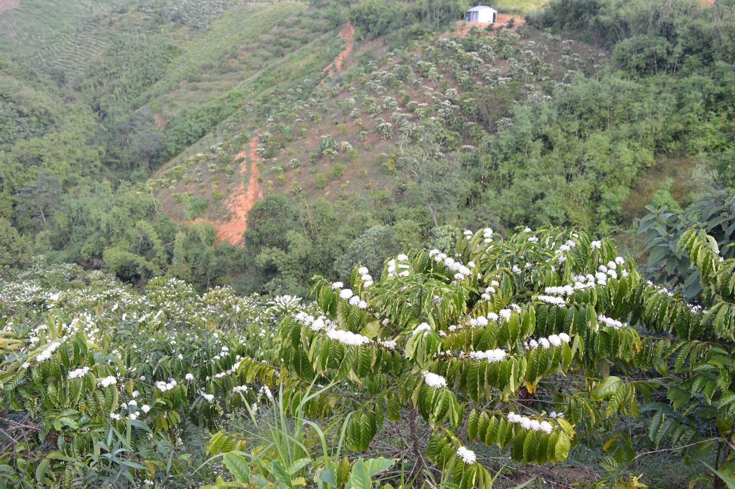 558874705-122125560362958787-141953910855731510-n